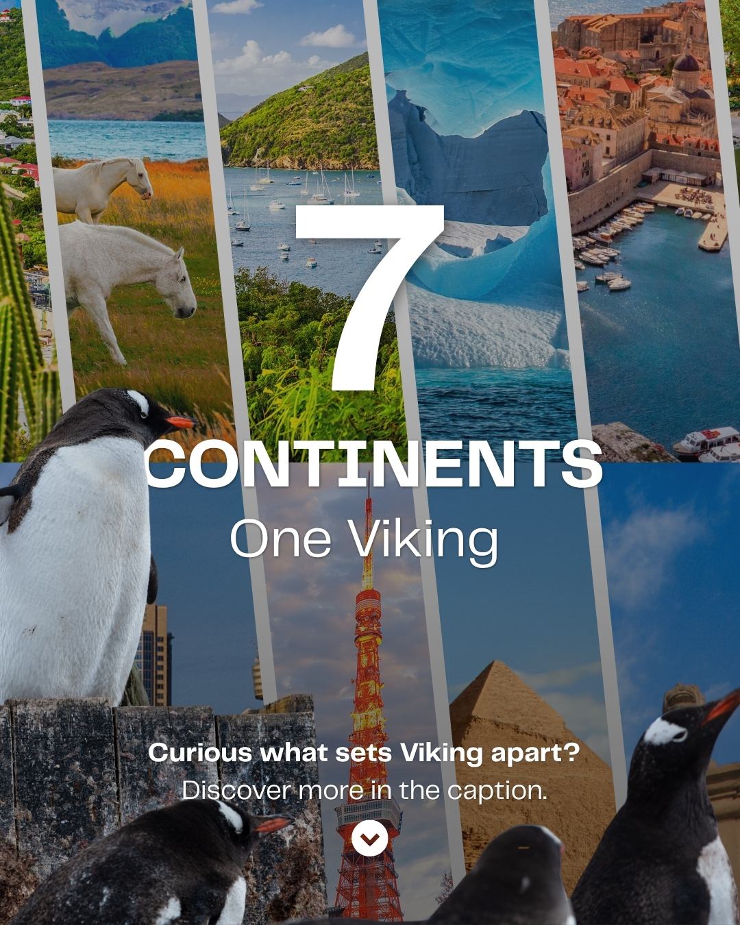 Some journeys take you somewhere new. Others change the way you see the world. 🌎

With Viking, explore remarkable destinations across all seven continents through thoughtfully designed river, ocean, and expedition journeys, immersing yourself in local culture, history, and unforgettable experiences along the way.

Every Viking cruise includes:

🗺️ One complimentary shore excursion
🍔 All onboard meals
🍷 Beer, wine, and soft drinks
🛜 Free wifi
☕️ 24-hour specialty coffee
🎖️ 24-hour room service

Book your Viking journey with us today. 🛳️

#VikingCruise #VikingRiverCruises #TravelAdvisor