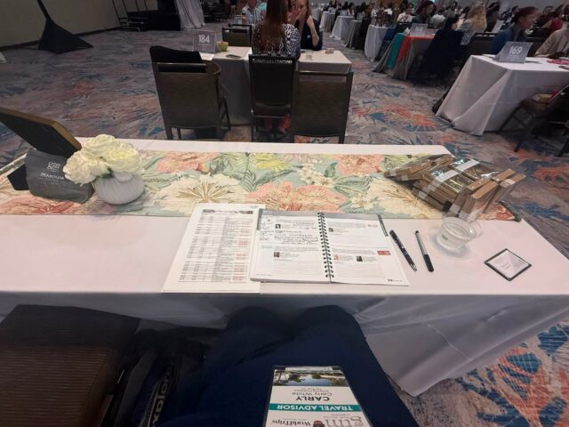 Getting started with Mitsis Group at GTM North America!!