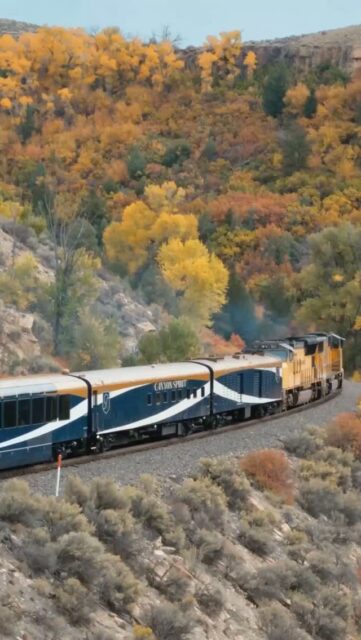 Glass dome windows, daylight only journeys, and landscapes you can't reach any other way. 🌄

Luxury rail across North America turns travel into a full experience, where the journey itself is the destination. 🚃

Ready to plan your rail adventure? Connect with us and let's design a Canyon Spirit journey together.

#TravelAdvisor