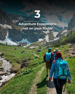 Not your typical bucket list. 🧳

These 3 off-the-radar expeditions bring raw nature, zero crowds, and maximum adrenaline.

New Zealand. Switzerland. Manitoba. Where to next? 🌍🔥

#AdventureTravel #BucketListTrips #TravelAdvisor