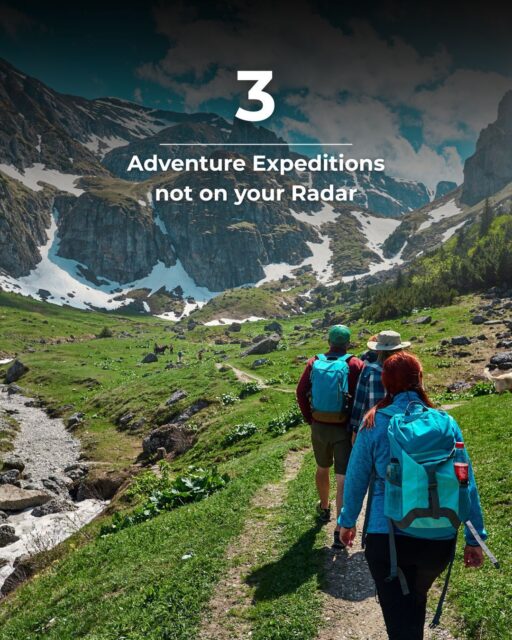 Not your typical bucket list. 🧳

These 3 off-the-radar expeditions bring raw nature, zero crowds, and maximum adrenaline.

New Zealand. Switzerland. Manitoba. Where to next? 🌍🔥

#AdventureTravel #BucketListTrips #TravelAdvisor