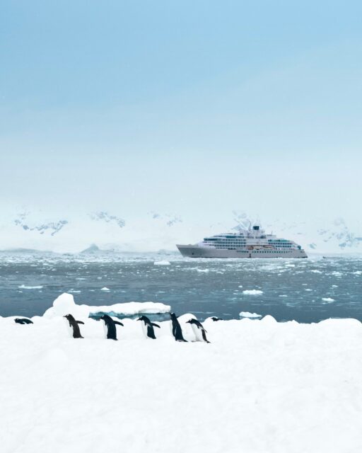 When the penguins wave you over as you approach Antarctica, you know it’s going to be a great day aboard your Silversea expedition voyage. ​
​
Jaw-dropping icebergs ✅​
Stunning glaciers ✅​
Dancing penguins beckoning you over ✅​

Antarctica, there’s just nowhere else quite like it.

Experience more by contacting carlywhite@soaringholidays.com.