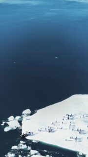 Since 1896, HX Expeditions has taken curious travelers on life-changing expeditions. 🛳️

From breathtaking landscapes of Antarctica to the untouched wilderness of the arctic, every journey lets you find yourself in a world of wonder.

Ready to change the way you see the world? Connect with our travel agency to plan a trip today. ✨ #TravelBetter #HX #HXExpeditions #TravelAdvisor
