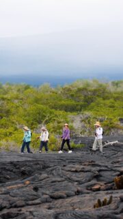 In the Galápagos, there’s no need to rush — just follow the locals as they confidently strut across ancient lava fields, in a world that feels wonderfully otherworldly.​