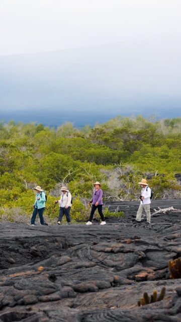 In the Galápagos, there’s no need to rush — just follow the locals as they confidently strut across ancient lava fields, in a world that feels wonderfully otherworldly.​
