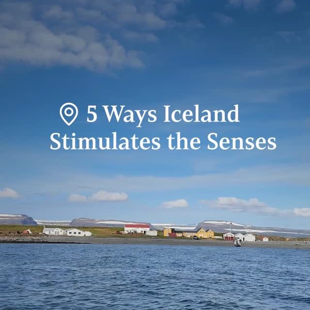 Hike and bike over volcanic landscapes, witness iconic wildlife in remote fjords, learn history steeped in sagas and see local traditions in tiny seaside villages as you circumnavigate Iceland with National Geographic-Lindblad Expeditions. 🚶‍♀️🌳

Connect with us to find the perfect itinerary for your dream vacation. ✨ #TravelBetter #NatGeoLindbladExpeditions Lindblad Expeditions #TravelAdvisor