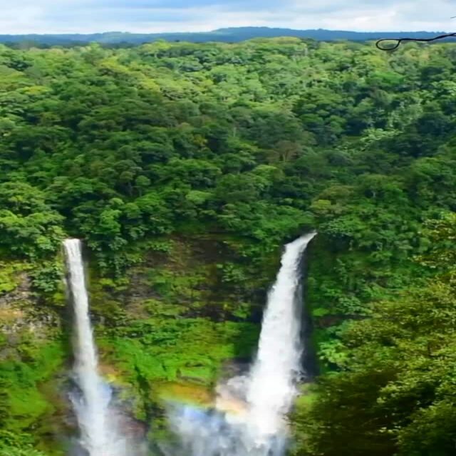 Happy World Rainforest Day! 🍃🌿

Celebrate the beauty of nature with unforgettable experiences like zip lining, whitewater rafting, or guided rainforest hikes, all planned by our travel agency.

Wherever your adventure takes you, we’ll help you get there. Start planning today! #WorldRainforestDay #TravelAdvisor