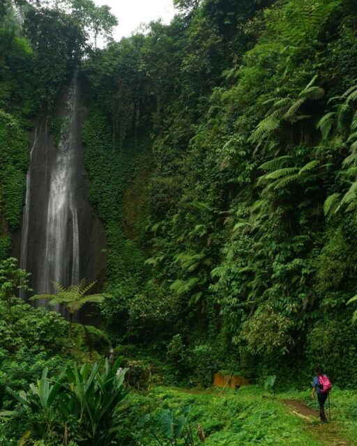 Happy World Environment Day! 🌏

Connect with us if you want to experience nature, wildlife, or visit UNESCO Heritage Sites on your next vacation. 🌳 #WorldEnvironmentDay #TravelAdvisor