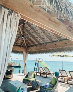 The ultimate island escape starts with a touch of luxury. 🌴☀️

Enjoy exclusive access to Coco Beach Club at Perfect Day CocoCay, where ocean views, elevated dining, and luxurious cabanas take your beach day to the next level.

Connect with us today to start planning your next vacation. #PerfectDayCocoCay #CocoBeachClub #TravelAdvisor