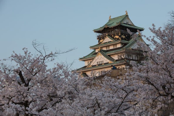 Immerse yourself in Japan's rich culture while exploring some of the most vibrant and contemporary cities on the planet! 🌸✨

Take in the stunning views of Mount Fuji, indulge in mouthwatering cuisine, and delve into the fascinating history of this incredible nation.

Contact me today to start planning your next Cruisetour around Japan!
#asia #celebritycruises #bookcelebritycruises