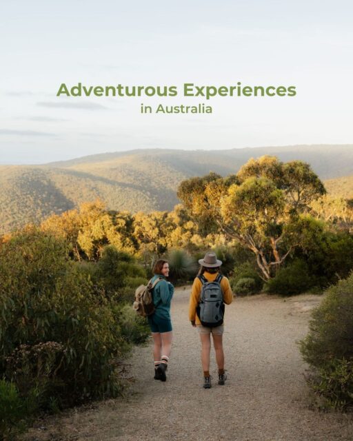 Australia’s diverse regions are calling, and our travel agency is here to help you experience them. 🌏

From hiking mountains to drifting through ancient rainforests, there's so much to explore in Australia.

Contact our travel agency to start planning your ultimate escape. #TourismAustralia #TravelAdvisor