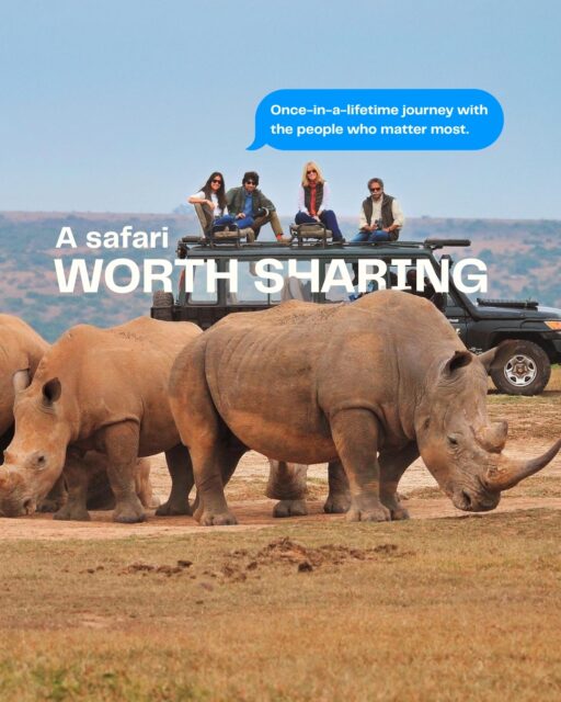 Some journeys are worth more than “someday.” 🦁

Experience Africa with Micato through unforgettable wildlife, extraordinary landscapes, and effortless luxury shared with the people who matter most.

2027 safari rates increase after September 18, so now is the perfect time to start planning.

Ready to make Africa happen? Plan your safari with us.

#MicatoSafari #SafariAfrica #TravelAdvisor