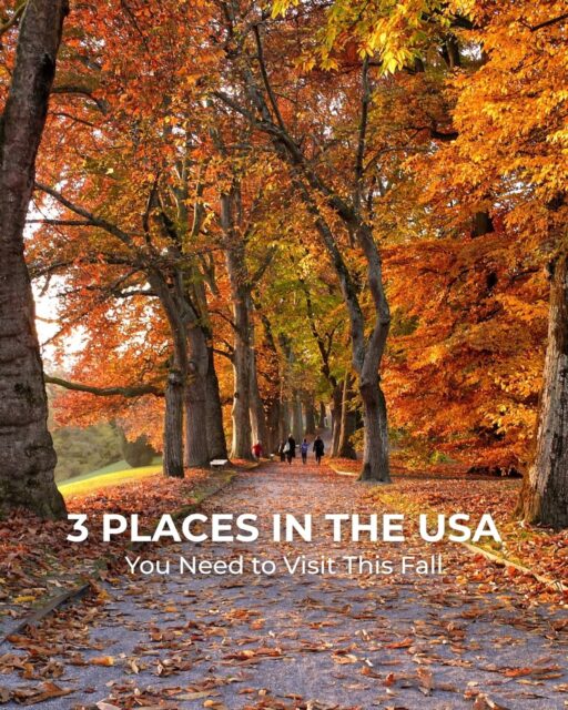 Visit these places that are perfect for fall. 🍂

From the rolling hills of the Berkshires to the Hudson Valley and the Smokies, peak autumn views arrive in mid to late October.

Book your fall getaway with our travel agency. 🧳 #TravelAdvisor